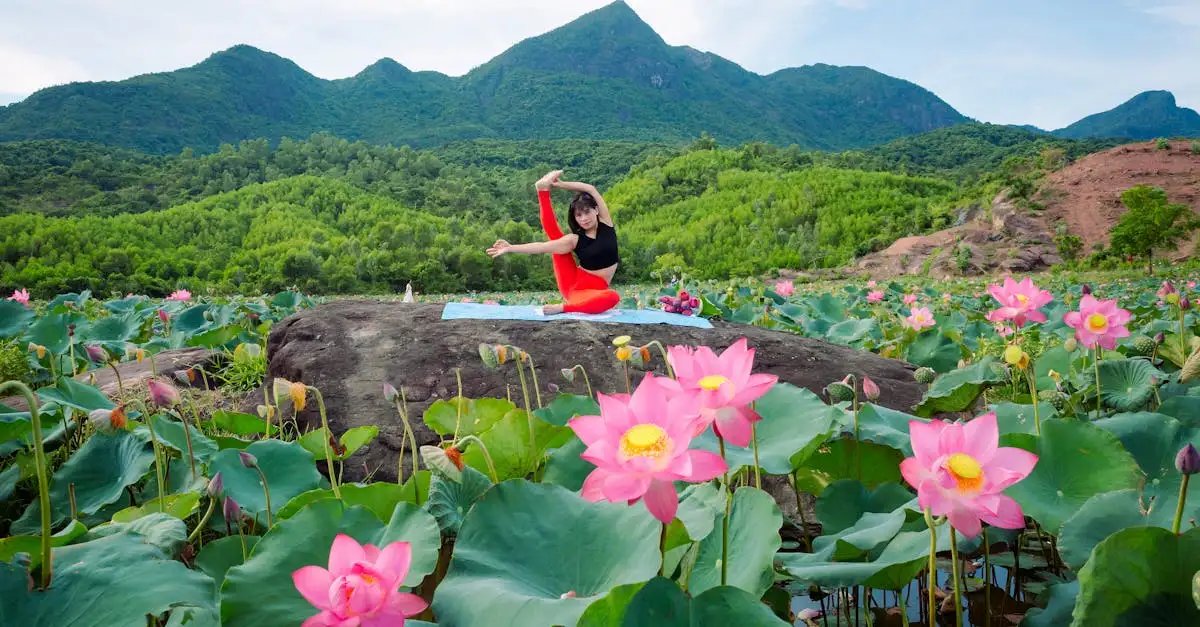 Yoga houdingen namen: leer ze kennen